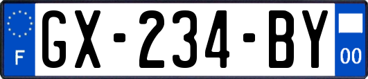 GX-234-BY