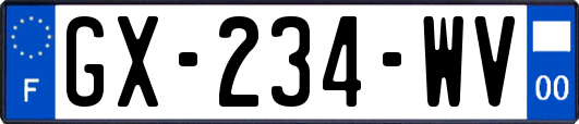 GX-234-WV