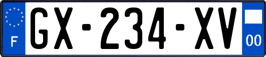 GX-234-XV