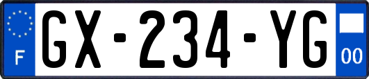 GX-234-YG