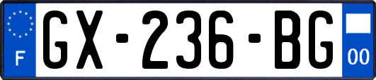 GX-236-BG