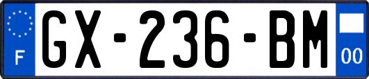 GX-236-BM