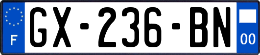 GX-236-BN