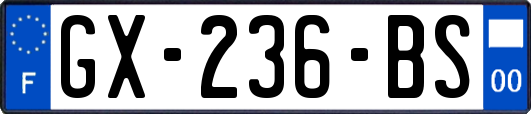 GX-236-BS