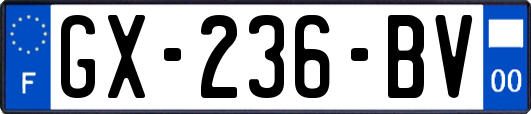 GX-236-BV