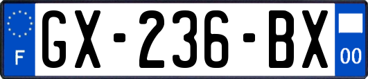 GX-236-BX
