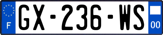 GX-236-WS