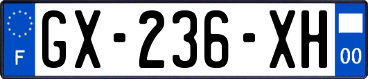 GX-236-XH