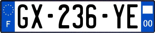 GX-236-YE