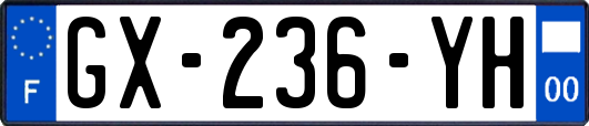 GX-236-YH