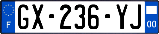 GX-236-YJ