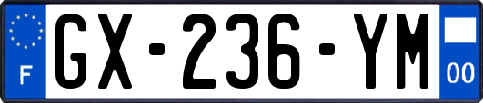 GX-236-YM