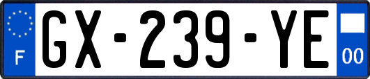 GX-239-YE
