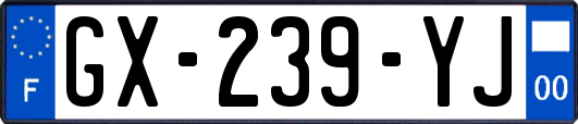 GX-239-YJ