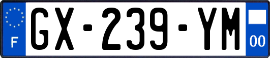 GX-239-YM