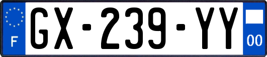 GX-239-YY