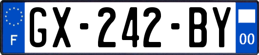 GX-242-BY