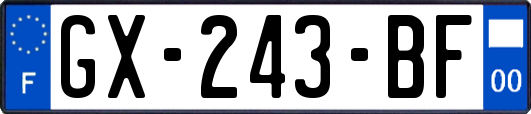 GX-243-BF
