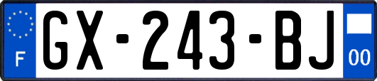GX-243-BJ