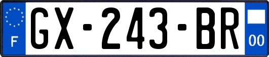 GX-243-BR