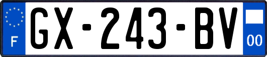 GX-243-BV