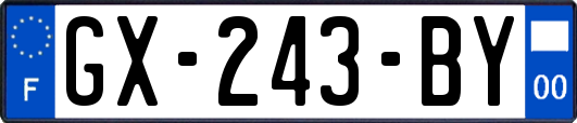 GX-243-BY