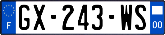 GX-243-WS