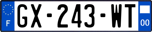 GX-243-WT