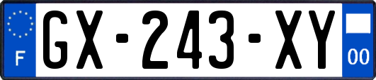GX-243-XY
