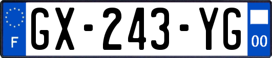 GX-243-YG