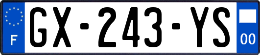 GX-243-YS