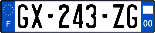 GX-243-ZG