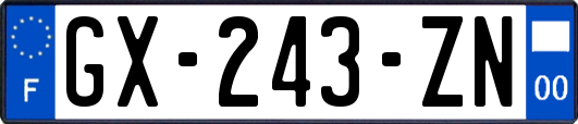 GX-243-ZN