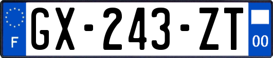 GX-243-ZT
