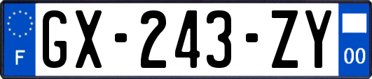 GX-243-ZY