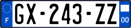 GX-243-ZZ