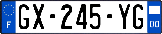GX-245-YG