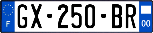 GX-250-BR