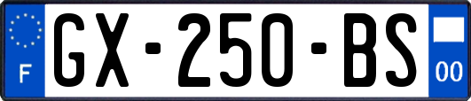 GX-250-BS