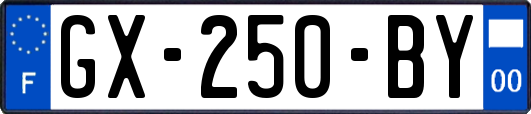 GX-250-BY