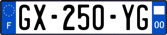 GX-250-YG