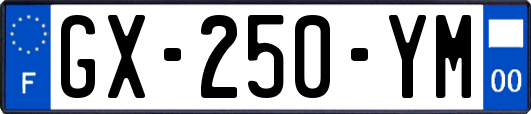 GX-250-YM