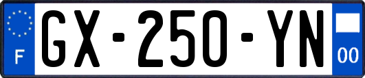 GX-250-YN