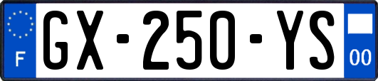 GX-250-YS