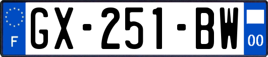GX-251-BW