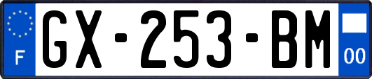 GX-253-BM