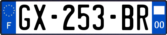 GX-253-BR