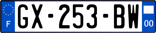GX-253-BW