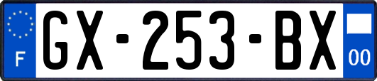 GX-253-BX