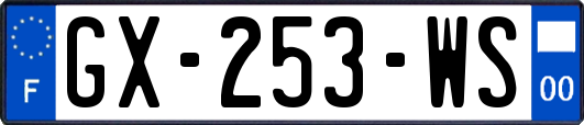 GX-253-WS